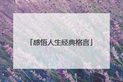 感悟人生经典格言