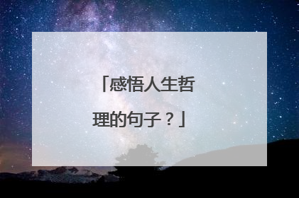 感悟人生哲理的句子？