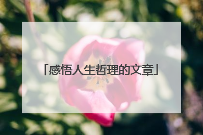 感悟人生哲理的文章