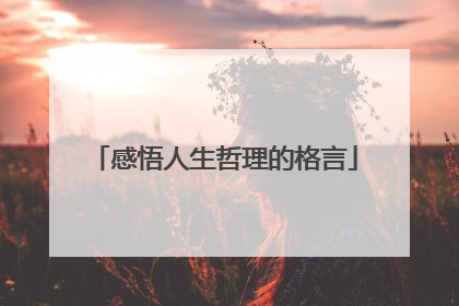 感悟人生哲理的格言