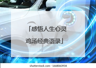 感悟人生心灵鸡汤经典语录