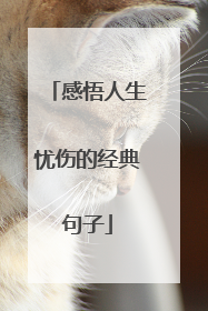 感悟人生忧伤的经典句子