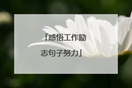 感悟工作励志句子努力