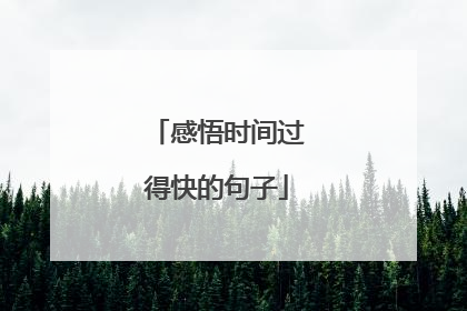 感悟时间过得快的句子