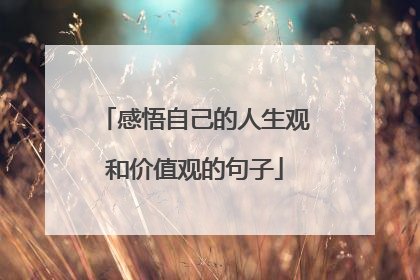 感悟自己的人生观和价值观的句子