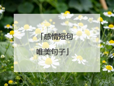 感情短句唯美句子