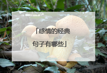 感情的经典句子有哪些