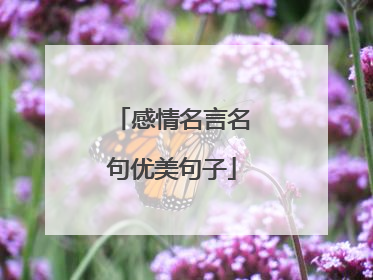感情名言名句优美句子