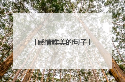 感情唯美的句子