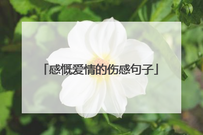 感慨爱情的伤感句子