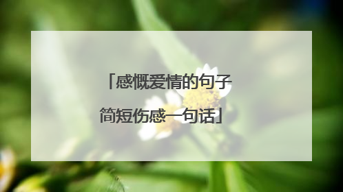 感慨爱情的句子简短伤感一句话