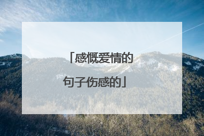 感慨爱情的句子伤感的
