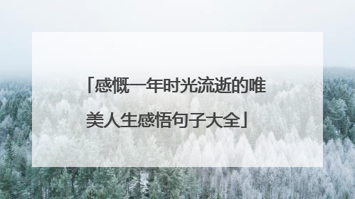 感慨一年时光流逝的唯美人生感悟句子大全