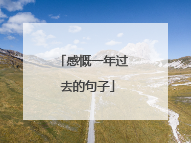 感慨一年过去的句子