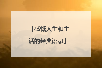 感慨人生和生活的经典语录