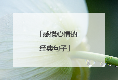 感慨心情的经典句子