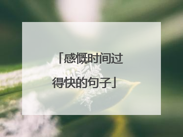 感慨时间过得快的句子