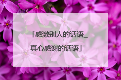 感激别人的话语_真心感谢的话语