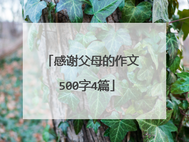 感谢父母的作文500字4篇