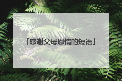 感谢父母恩情的短语