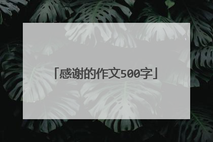 感谢的作文500字