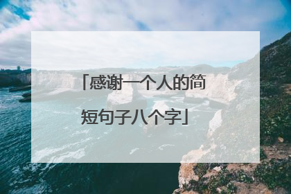 感谢一个人的简短句子八个字