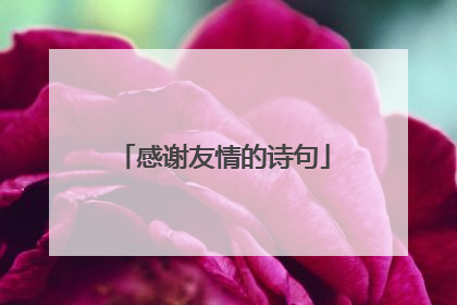 感谢友情的诗句