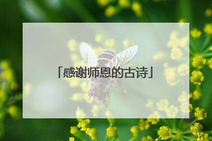 感谢师恩的古诗