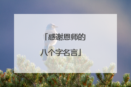 感谢恩师的八个字名言