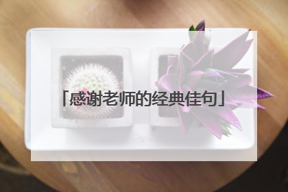 感谢老师的经典佳句