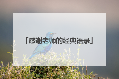 感谢老师的经典语录