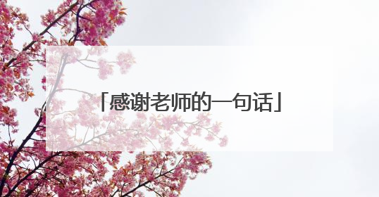 感谢老师的一句话