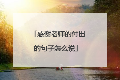 感谢老师的付出的句子怎么说