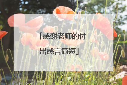 感谢老师的付出感言简短