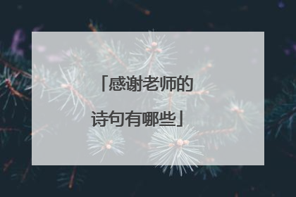 感谢老师的诗句有哪些