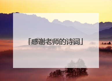 感谢老师的诗词