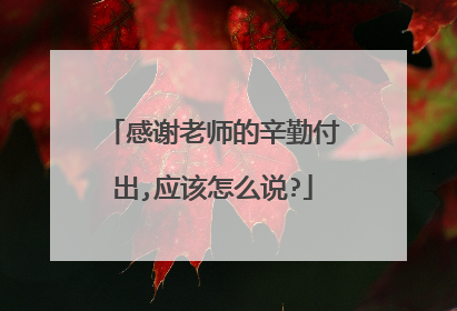 感谢老师的辛勤付出,应该怎么说?