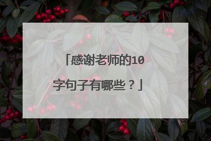感谢老师的10字句子有哪些？