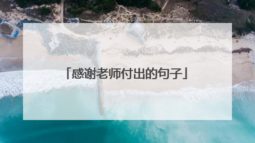 感谢老师付出的句子