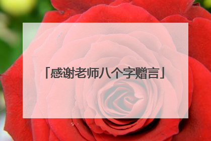 感谢老师八个字赠言