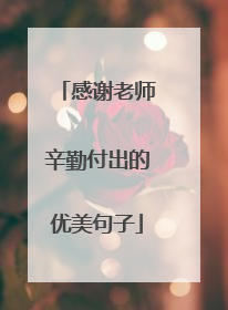 感谢老师辛勤付出的优美句子