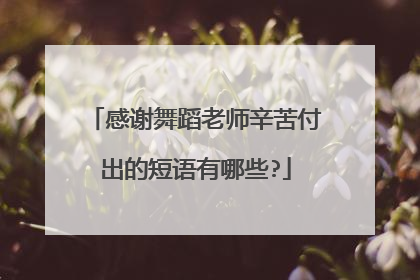 感谢舞蹈老师辛苦付出的短语有哪些?