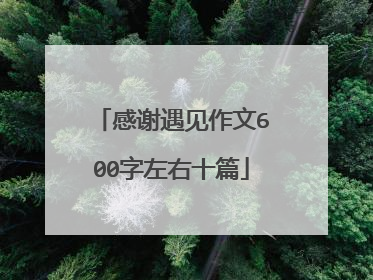 感谢遇见作文600字左右十篇