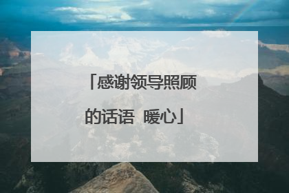 感谢领导照顾的话语 暖心