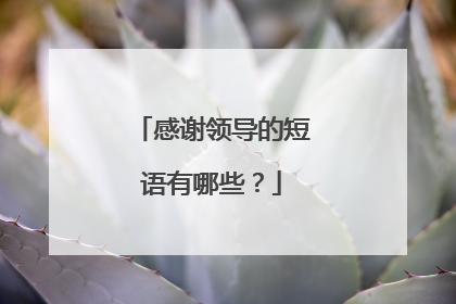 感谢领导的短语有哪些？