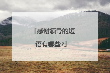 感谢领导的短语有哪些?