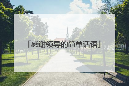 感谢领导的简单话语