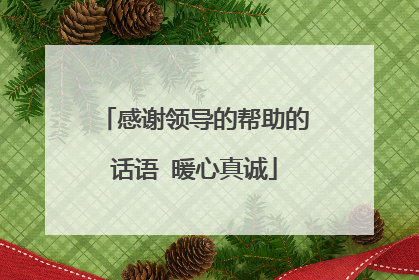感谢领导的帮助的话语 暖心真诚