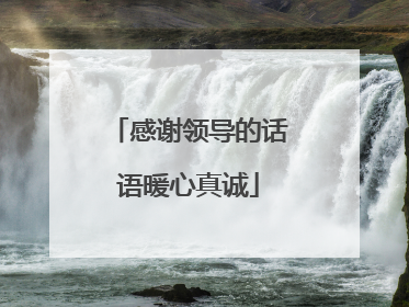 感谢领导的话语暖心真诚