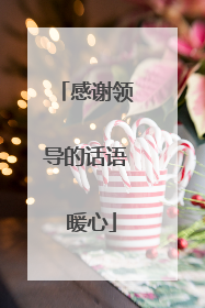 感谢领导的话语 暖心